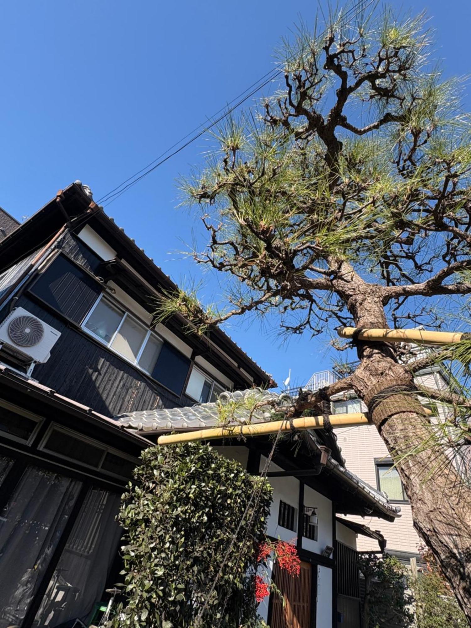 Kitazawa Cozy House Hotell Tokyo Eksteriør bilde